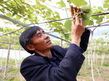 岳西古坊：学习强国助力乡村爱彩365彩票官方app下载_体育在线365下载_Best365官网登录