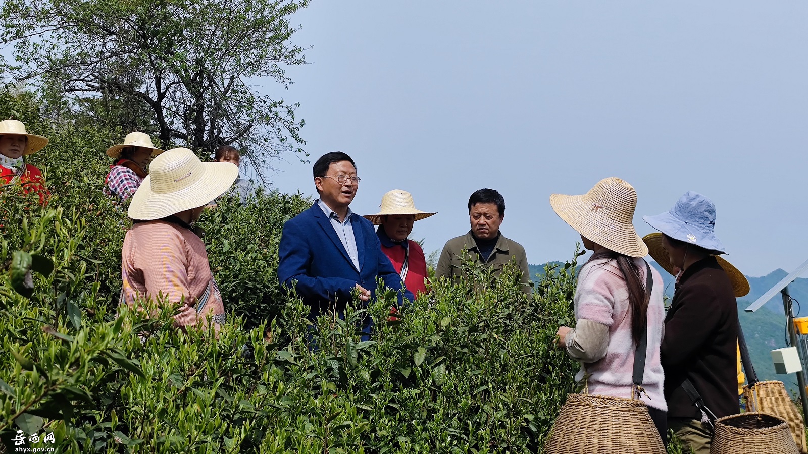 科技特派员助力乡村爱彩365彩票官方app下载_体育在线365下载_Best365官网登录