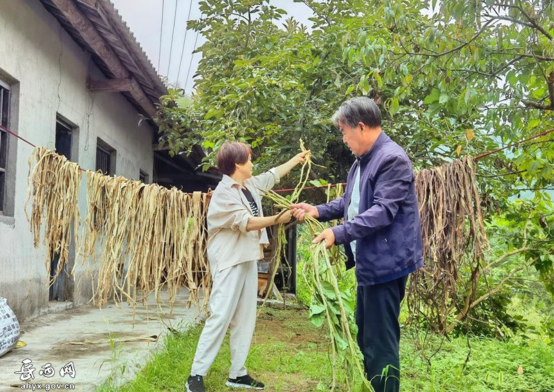 国家级非遗桑皮纸制作技艺纪录片开拍