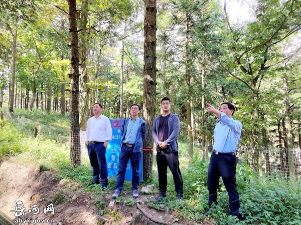 国家林草局华东森林资源监测中心赴岳西开展天然林保护国家级验收工作