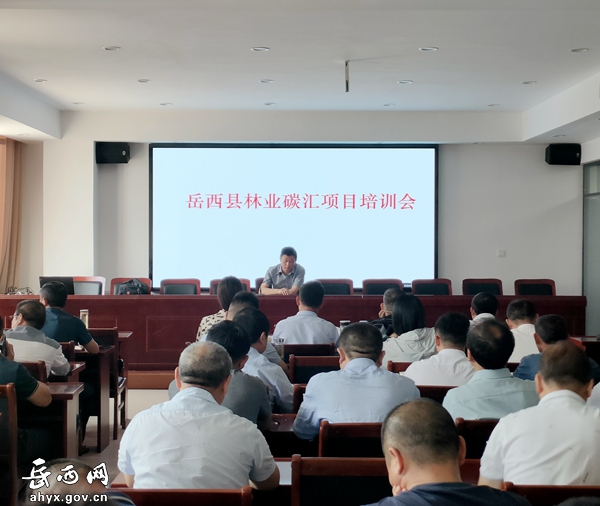 岳西县召开林业碳汇项目培训会