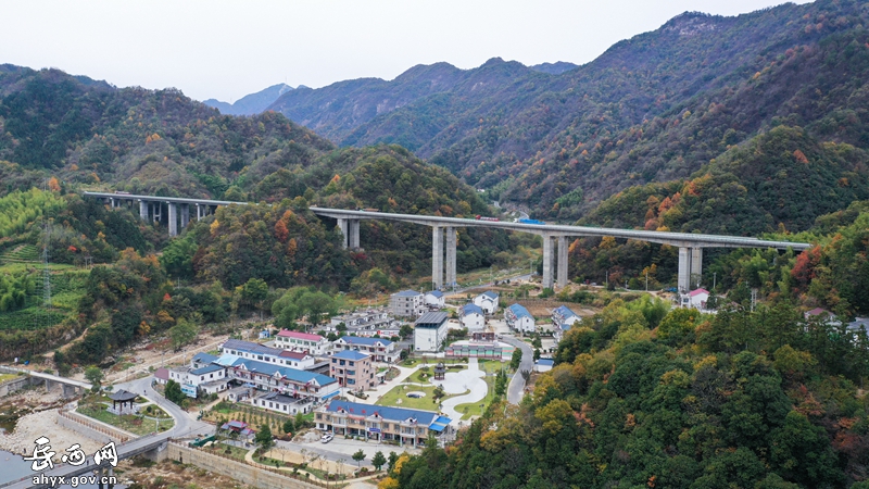 【飞阅岳西】山间秋色浓，斑斓如鎏金